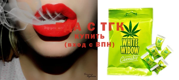дживик Пестово