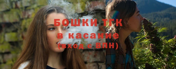 дживик Пестово